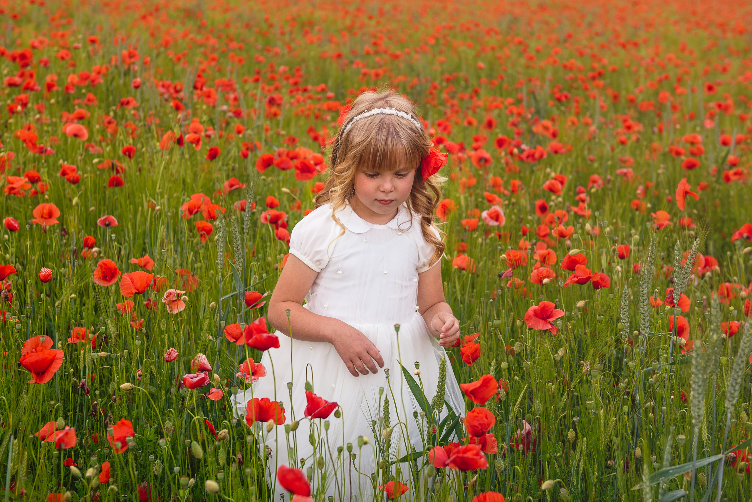 bimba servizio fotografico bambino studio feltre