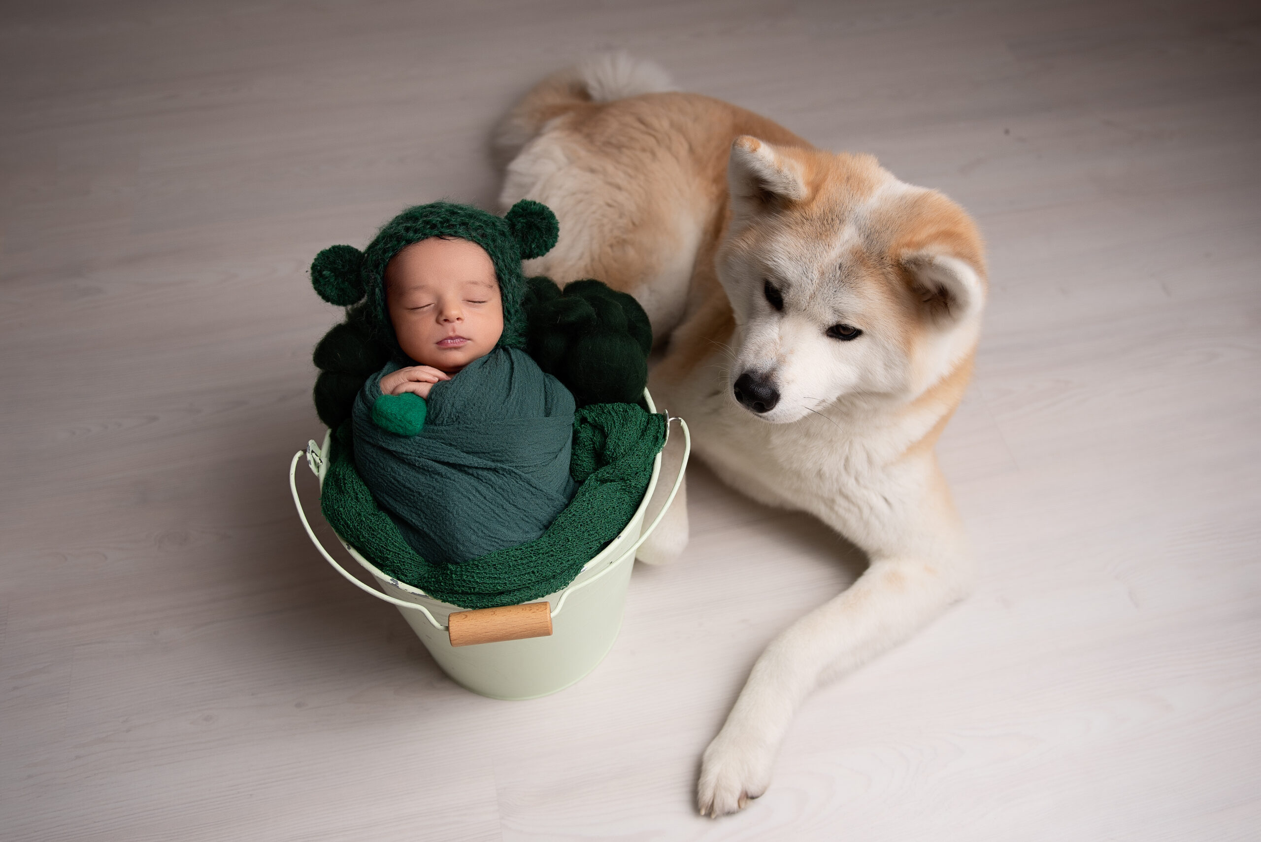 servizio fotografico professionale-neonato-animale-cane-montebelluna-trento-bassano del grappa-sessione neonato-fotografo specioalizzato-nuovavita-ospedale castelfranco-ospedale bassano